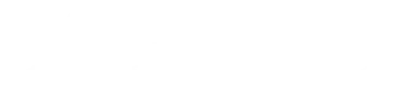 Moog Animatics